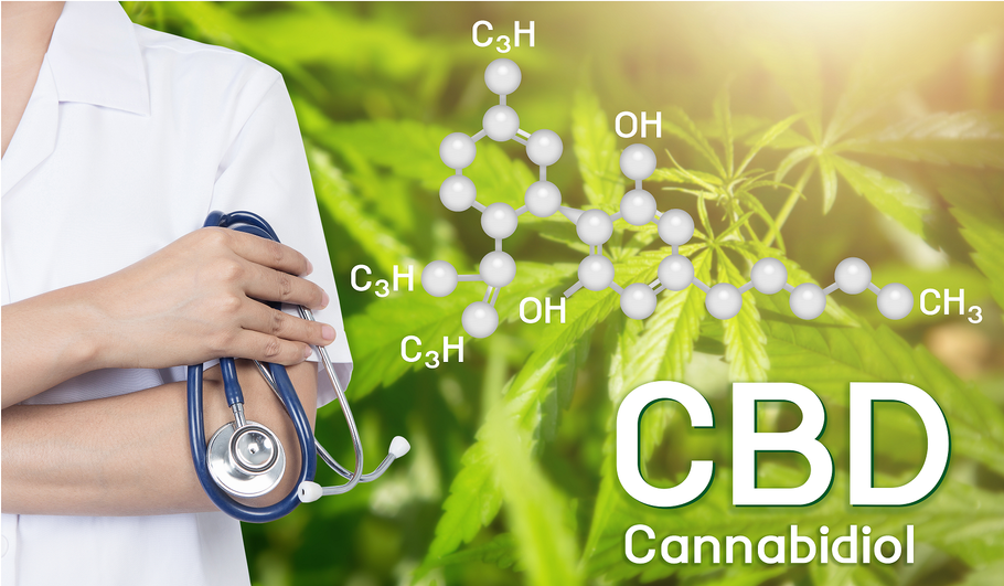 CBD, the Endocannabinoid System, and the Fight Against Cancer
