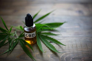 5 Reasons To Incorporate CBD Oil Into Your Everyday Routine