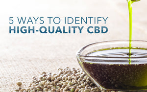 Top 5 Ways to Identify High Quality CBD