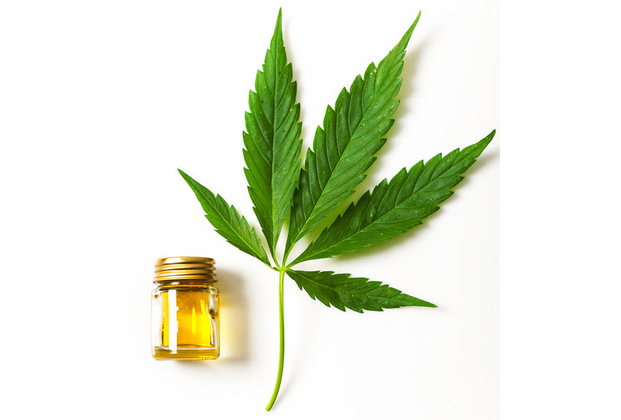 What is Hemp Oil?